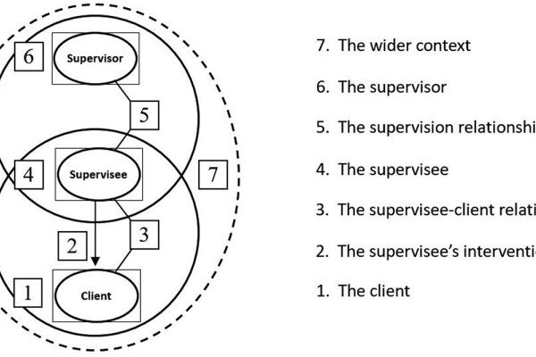 Seven-Eyed model of supervision (Hawkins & McMahon)