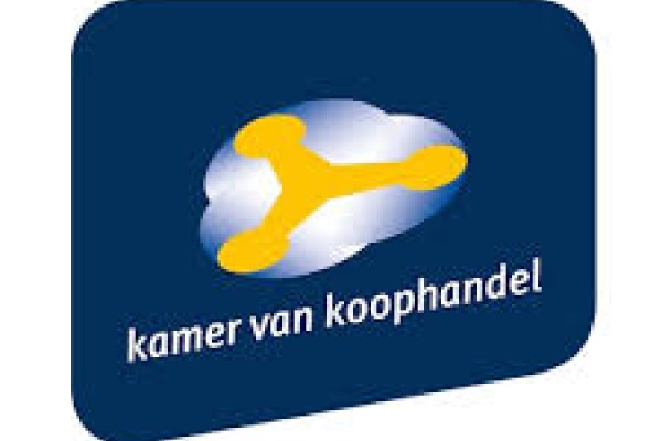 SBI-codes voor coaching