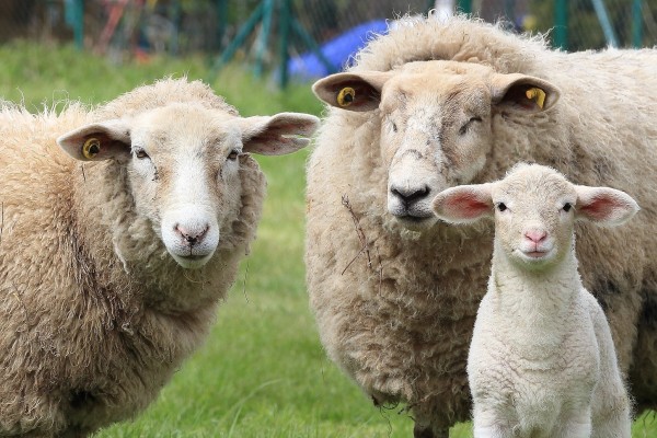 Samen staan we sterk