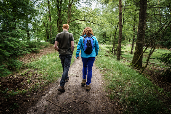 Verfrissende NOBCO in 't Land