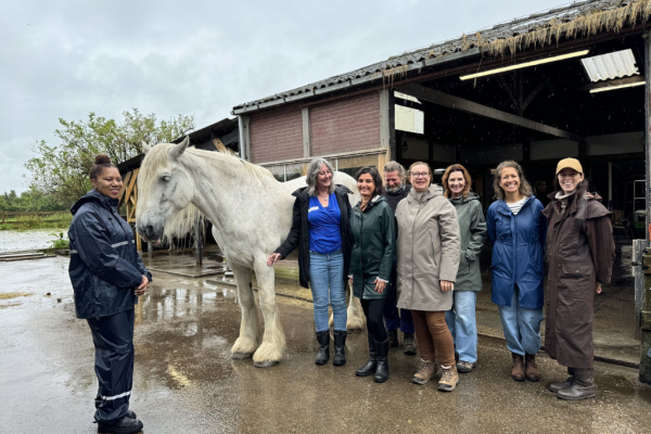 Leden Vaksectie Natuurcoaching tussen de paarden