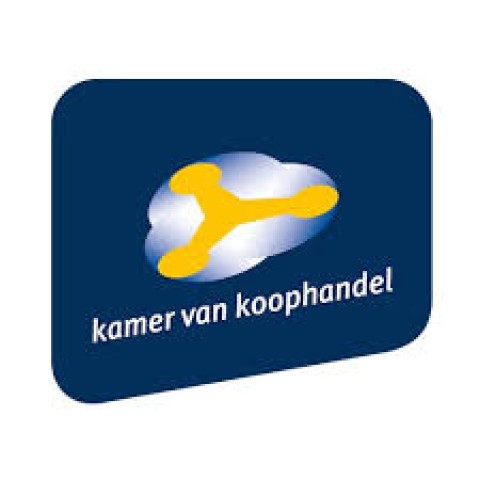 SBI-codes voor coaching